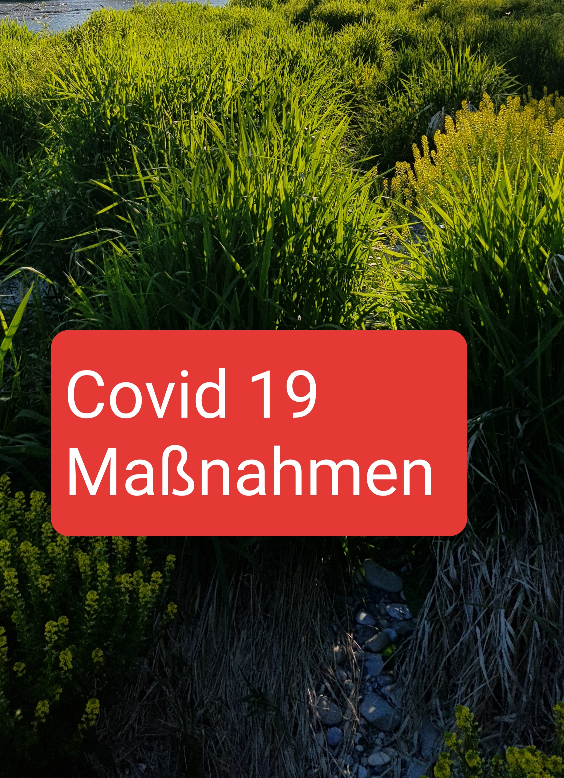 Covid 19 - Maßnahmen